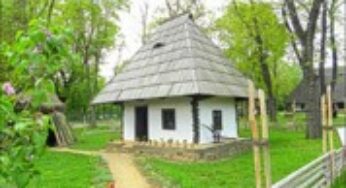 Visit the Peasant Museum and the Village Museum in Bucharest